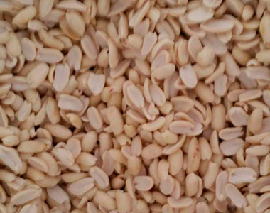 Half grain of peanuts