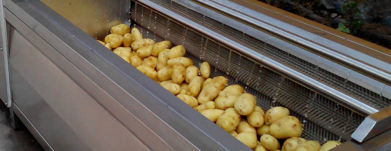 Potato washing peeling machine