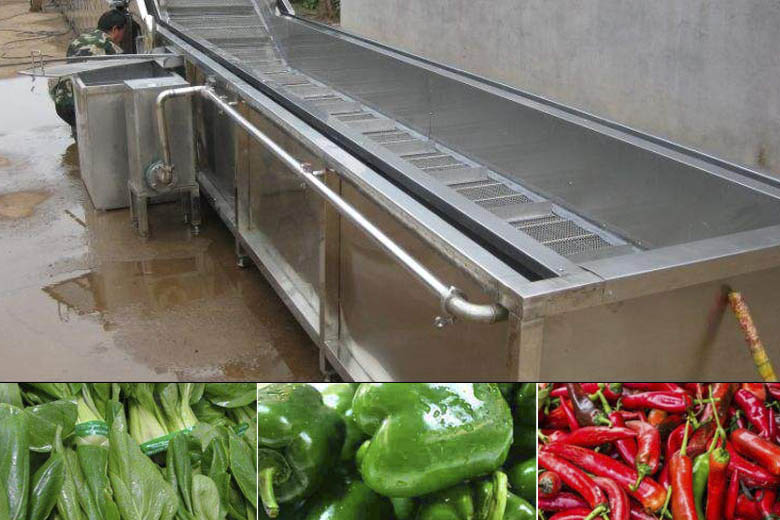 Industrial Vegetable and Fruit Washer Stainless Steel Vegetable