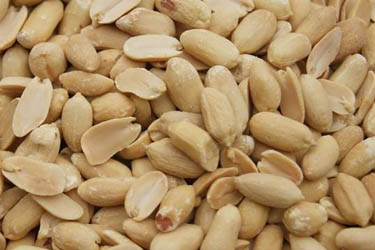 Roasted Peanuts