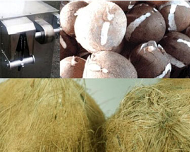coconut shelling machine