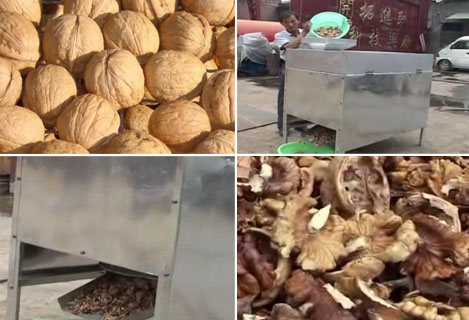 Valnut Shelling Machine