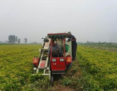 Peanut harvester