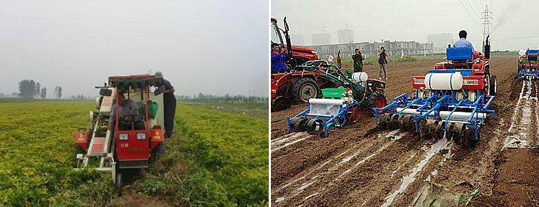 Peanut Machinery