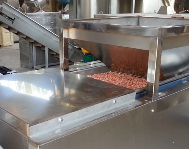 Video of peanut splitting machine working