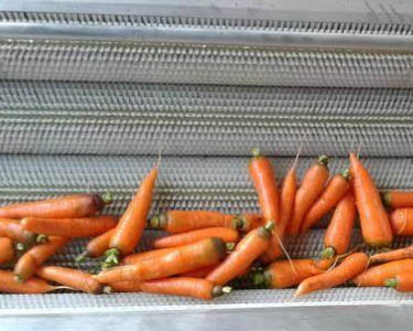 Carrot Washing Machine