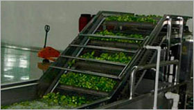 Vegetable washing machine