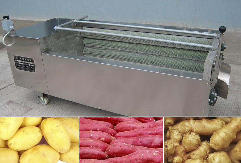 Potato Washing Machine