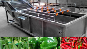 Vegetable Washing Machine