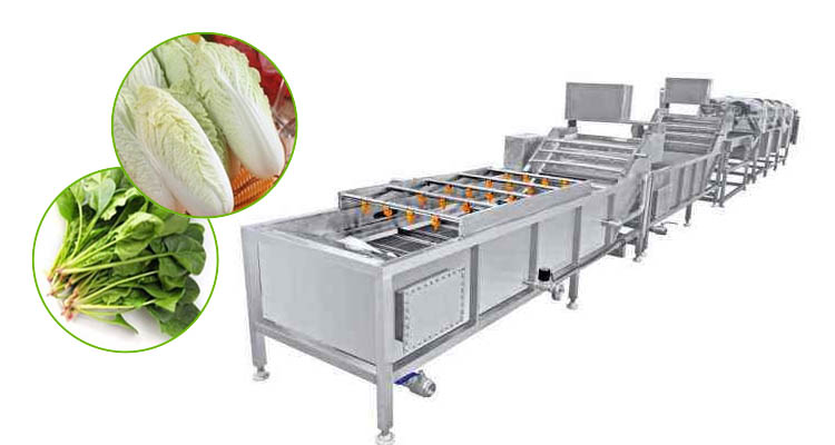 Fruit and vegetable basket washing machine