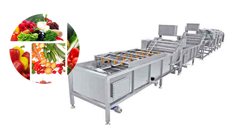 Vegetable food washing machine