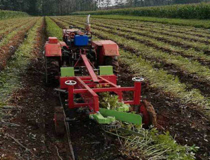 Peanut digging plough