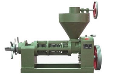 6YL 95 Peanut Oil Press