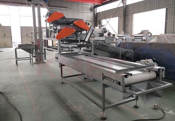 Almond Shelling Machine Production Line