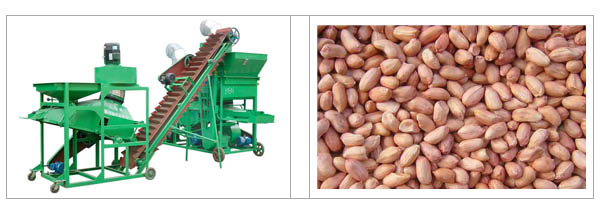 Peanut sheller machine