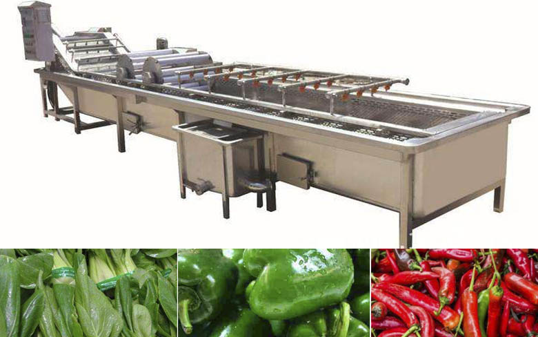 Vegetable Washing Machine 