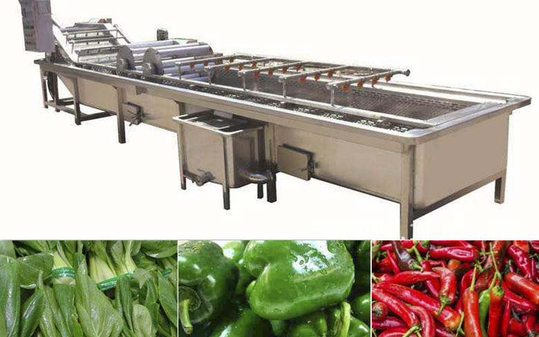 Vegetable Washing Machine 