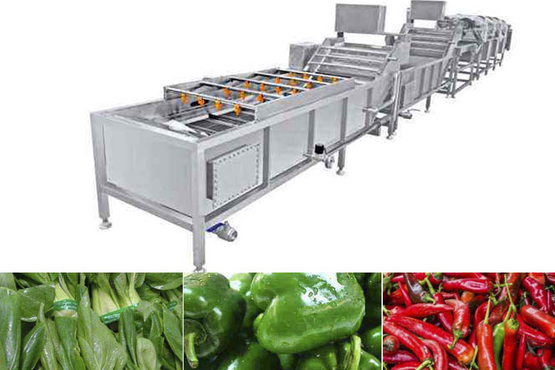 Vegetable Washing Machine 
