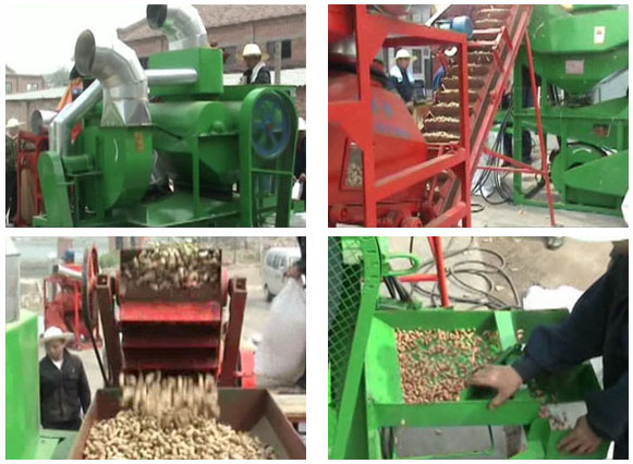 Video of peanut shelling machine working