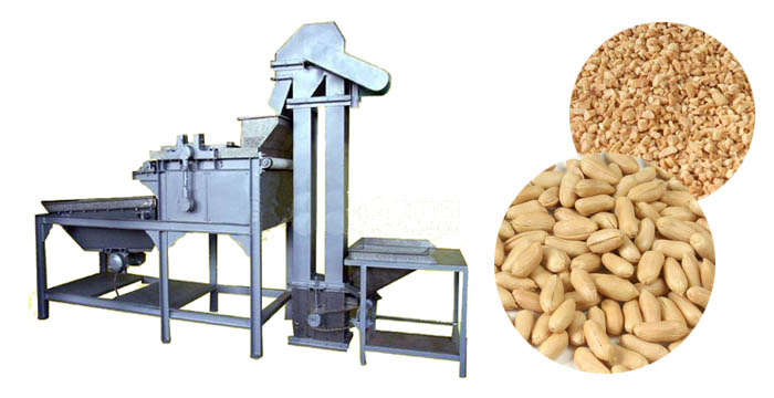 Peanut & Almond Chopping Machine