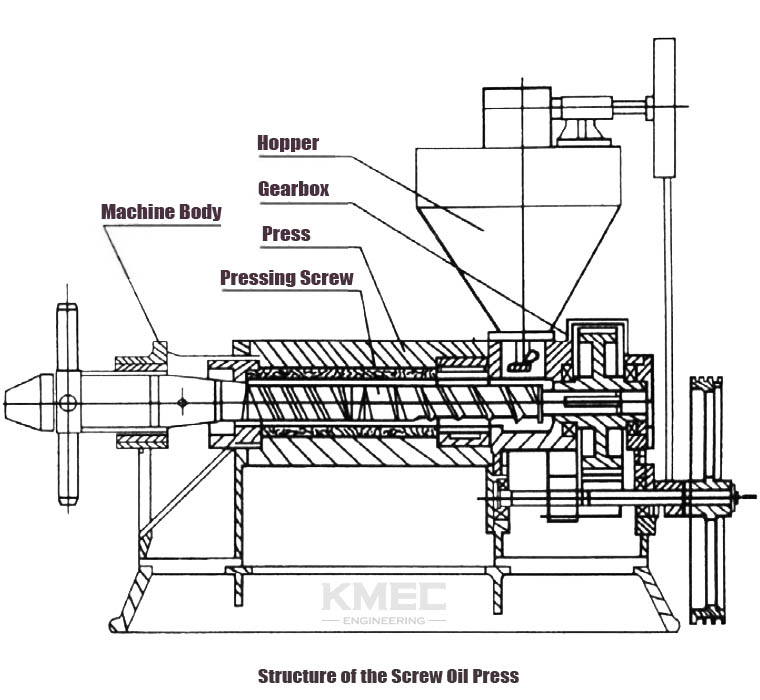 Structure of the screw oil press