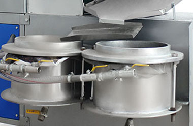 Oil press vacuum filter