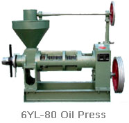 6YL-80 oil press