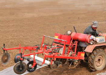 The technology of peanut sowing mechanization is actively promoted in Shandong