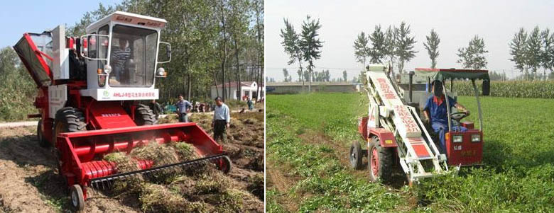 Peanut harvesting machine