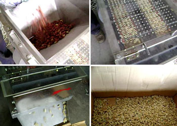 Maintenance of peanut peeling machine