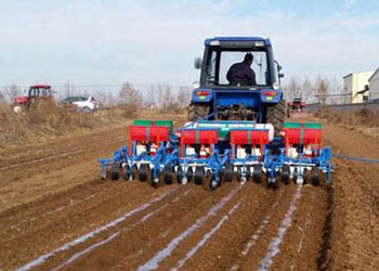 Peanut mechanization sowing technology