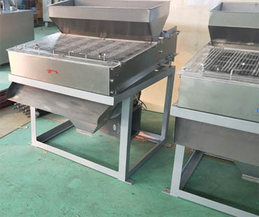 Congo customer ordered GT-12 peanut peeling machine