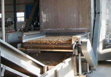 Roasting peanuts with electricity facilitates further processing of peanuts