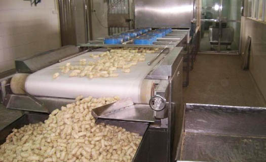 Peanut roaster production line