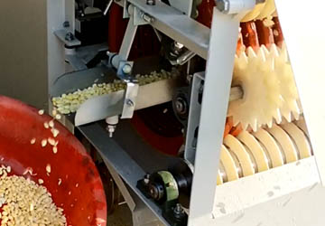 The development of peanut peeling machine