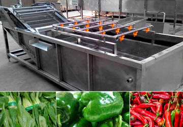 Industrial Fruit And Vegetable Washing Machine and Vegetable Washer