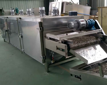 Peanut roaster production line