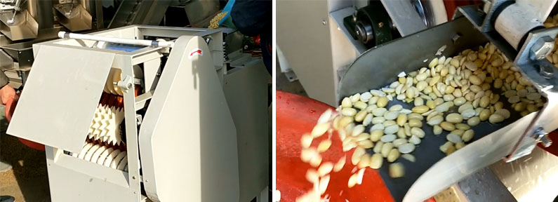 Wet type peanut peeling machine