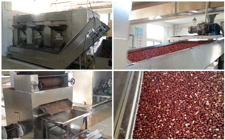 Yunting peanut roasting production line