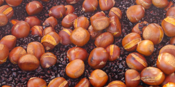 chestnut