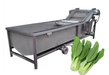 How to choose vegetable washing machine