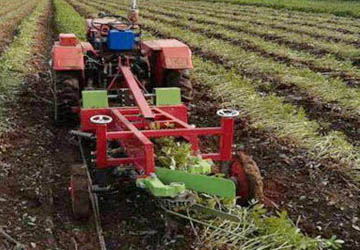 The use of peanut machinery in mechanized farming