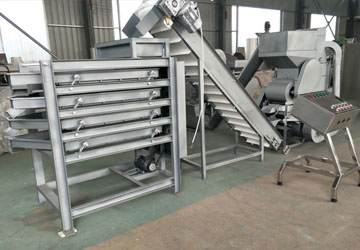 French customer purchased peanut peeling machine production line