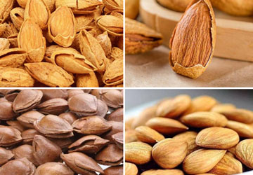 What are the differences between badam and almonds?