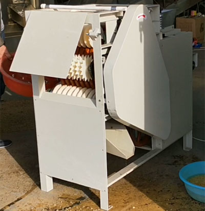 Wet type peanut peeling machine working video