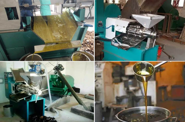 How to choose peanut oil press