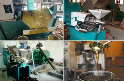 Main types of peanut oil press