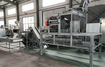 Tunisian customer ordered almond shelling machine production line equipment