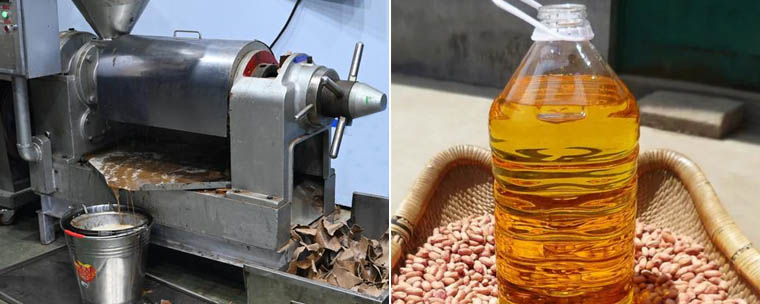 Peanut oil press