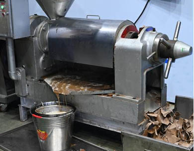 What happened to peanut oil press not producing oil?